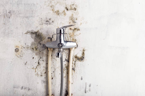 Best Mold Remediation Experts  in Chinchilla, PA