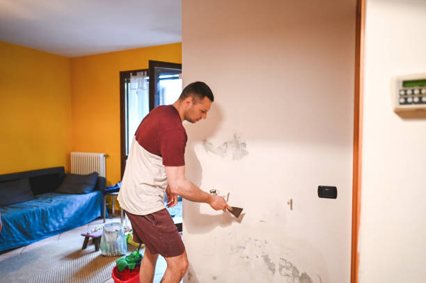 Mold Removal Process in Chinchilla, PA